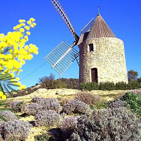 מלון Athenopolis 3*